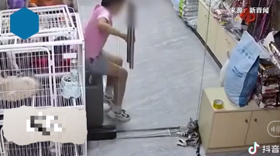 Con gái cố tình đẩy cửa kẹp chết chú mèo con, gia đình vội bao biện khiến ai nấy “giận sôi máu”