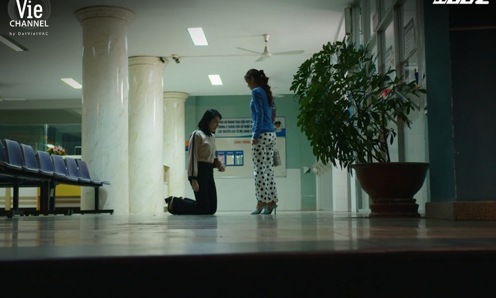 Cây Táo Nở Hoa tập 58: Châu quỳ gối cầu xin, Báu vẫn nhẫn tâm từ chối hiến gan cứu anh hai