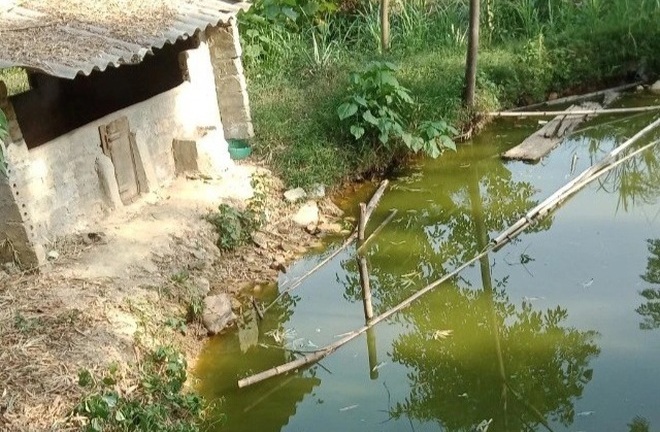 Bé trai gần 2 tuổi tử vong thương tâm dưới ao trong vườn nhà