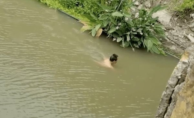 Người đàn ông “cố thủ” vài giờ dưới sông, ai nấy tưởng gặp chuyện, cuối cùng phát hiện lý do gây choáng