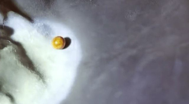 Cô gái suýt gãy răng vì cắn phải vật cứng khi ăn ốc, dân mạng lại xôn xao chúc mừng vì lý do bất ngờ