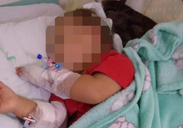 Tin tức đời sống ngày 19/9: Con trai bị rắn cắn, hành động của bố được khen hết lời