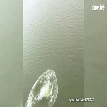 Thượng úy dũng cảm nhảy từ cầu cao 20m xuống sông cứu cô gái bị đuối nước