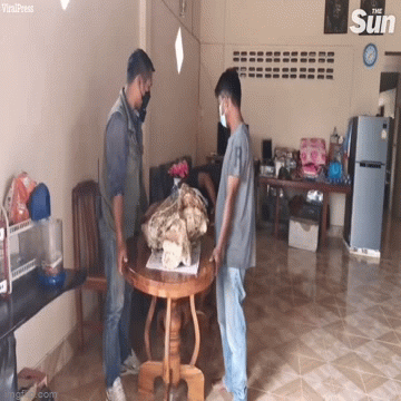 Người đàn ông tìm được hòn đá hình thù kỳ dị, chẳng ngờ là “báu vật” hơn 30 tỷ đồng