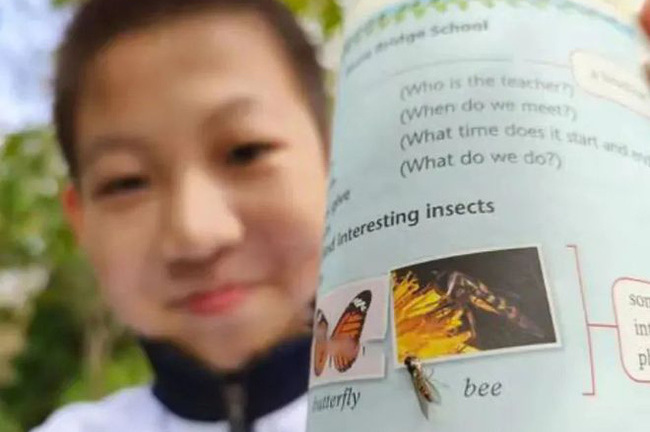 Học sinh lớp 7 tự tin chỉ ra lỗi sai trong sách giáo khoa, nhà xuất bản vội nhận lỗi ngay