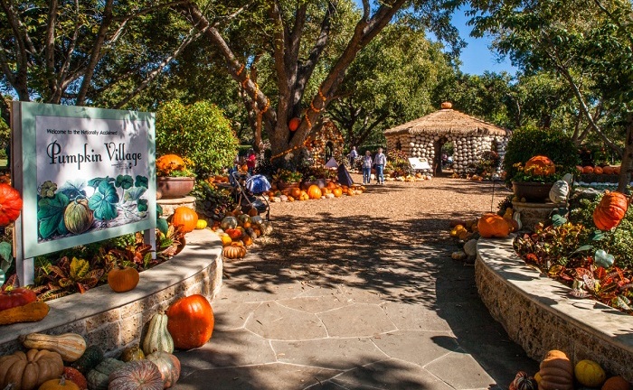 Độc đáo ngôi làng cổ tích được làm từ 90.000 quả bí ngô để đón lễ hội Halloween