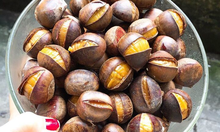 Cô gái 25 tuổi bị xuất huyết dạ dày, khóc nấc hối hận vì lỡ ăn hạt dẻ theo cách này