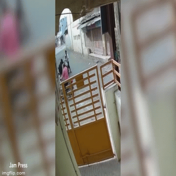 Video: Gia đình 3 người chạm mặt “bò điên”, sự tình sau đó khiến ai nấy sợ tái mặt