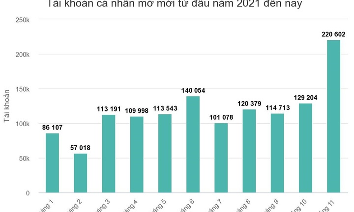 Kỷ lục hơn 220.000 tài khoản chứng khoán cá nhân mở mới trong tháng 11/2021