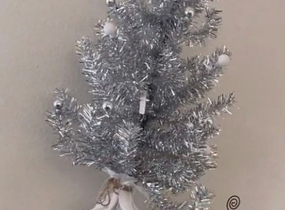 Cây thông Noel “biết đi” từ nhà kho tới phòng khách, cảnh sát kiểm tra thì phát hiện bí mật khó tin