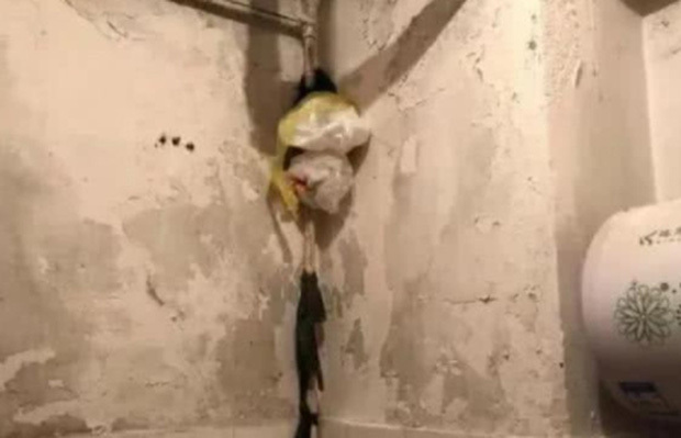 Nữ sinh thấy ánh sáng đỏ le lói từ góc nhà tắm, mặt tái mét khi phát hiện điều đáng sợ