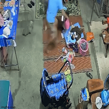 Video: Mẹ nhanh trí cứu con thoát khỏi rắn cắn chỉ với một hành động