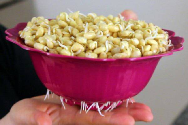 6 thực phẩm mọc mầm quý hơn vàng, đừng dại mà vứt bỏ