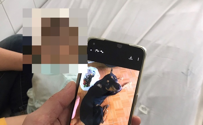 Tin tức đời sống ngày 2/3: Cứu sống bé gái 6 tháng tuổi bị chó cắn xuyên sọ