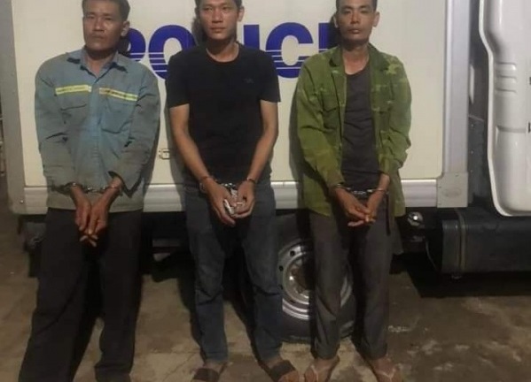 3 anh em ruột trồng cần sa trong rẫy cà phê để bán kiếm lời