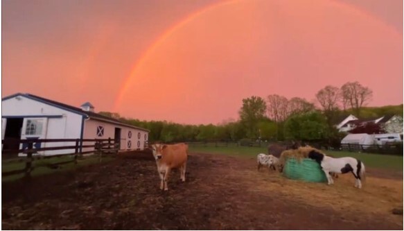 Cầu vồng kép kỳ lạ “vắt ngang bầu trời” sau cơn giông bão