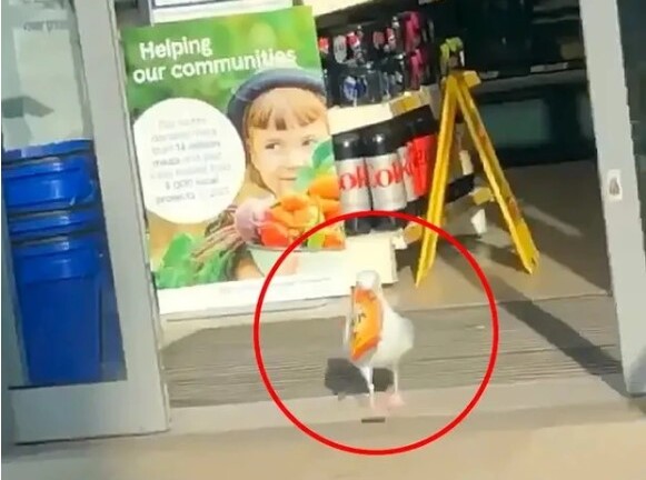 “Kẻ gian” ngang nhiên trộm đồ trong siêu thị, nhân viên thấy nhưng không làm được gì