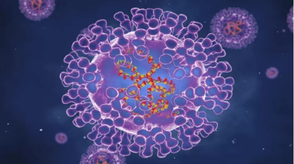 Bộ Y tế hướng dẫn 6 biện pháp phòng, chống bệnh đậu mùa khỉ