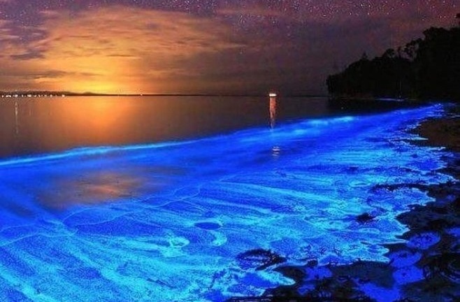 Choáng ngợp trước bãi biển ngàn sao được ví như dải ngân hà ở Maldives