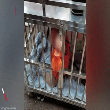 Mẹ nhốt con vào lồng sắt dưới xe đẩy bán hàng và câu chuyện khiến ai nấy thương cảm
