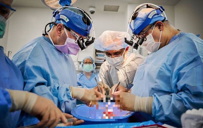 Ghép tim lợn thành công cho hai bệnh nhân chết não