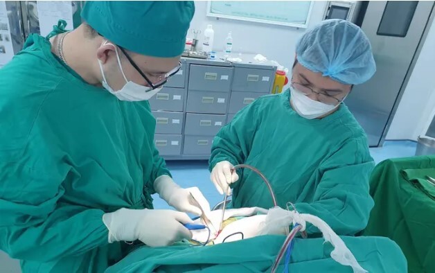 Tin tức đời sống ngày 1/8: Đinh vít dài 9mm ghim vào đầu bé 12 tháng tuổi