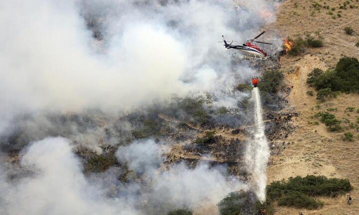 Người đàn ông dùng bật lửa giết một con nhện, bất cẩn làm cháy rừng