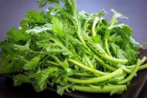 Bất ngờ với 8 lợi ích của rau cải cúc đối với sức khỏe