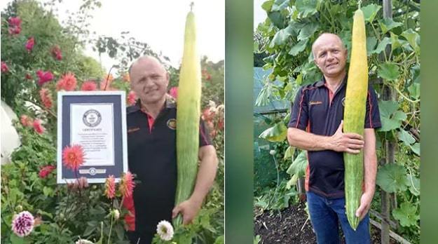 Choáng váng trước quả dưa chuột “siêu to khổng lồ” dài hơn 1,1m