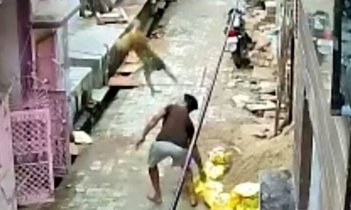 Hành động gây choáng của chú khỉ khi thấy đồng loại bị ném đá