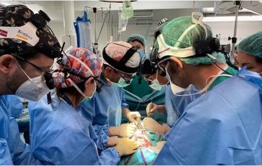 Em bé đầu tiên trên thế giới được ghép ruột từ người qua đời do suy tim