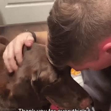 Rơi nước mắt trước khoảnh khắc cuối đời bên chủ nhân của chú chó bị ung thư