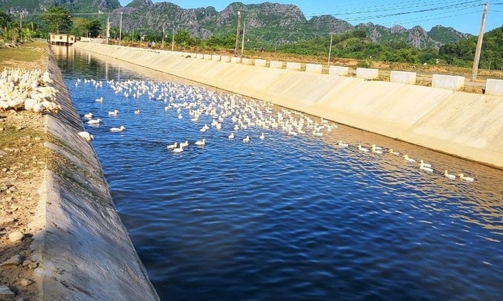 Thanh Hóa: Nhảy xuống mương nước cứu bạn, nam sinh lớp 5 đuối nước thương tâm