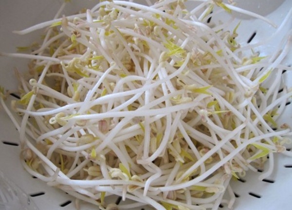 5 sai lầm cần tránh khi ăn giá đỗ