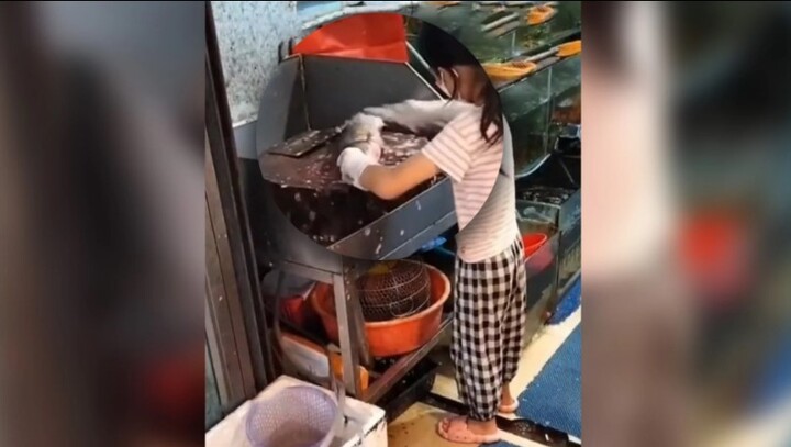 Trầm trồ trước kỹ năng sơ chế cá cực điêu luyện của bé gái 9 tuổi