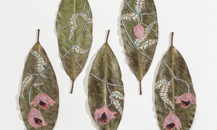 Độc đáo những tác phẩm thêu trên lá cây khô của nữ nghệ sĩ người Mỹ