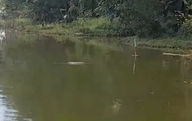 Bình Phước: Lọt vào vùng nước sâu khi tắm hồ, 2 cháu bé đuối nước tử vong