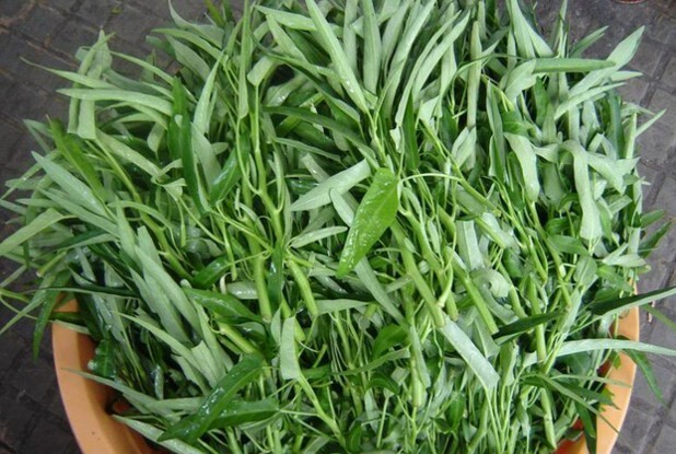 5 điều cấm kỵ khi ăn rau muống, nhớ để tránh kẻo rước họa vào thân