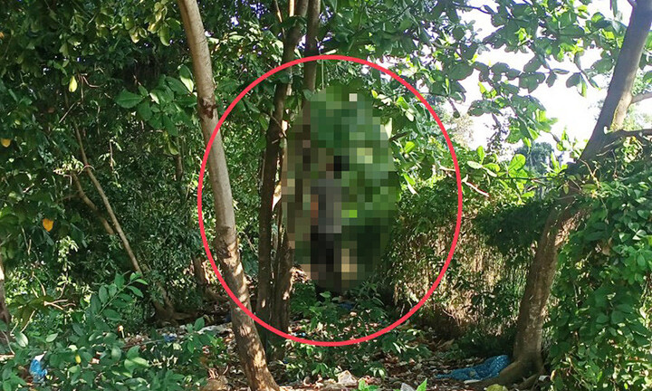 Phát hiện thanh niên tử vong trong tư thế treo cổ dưới dạ cầu Cần Thơ