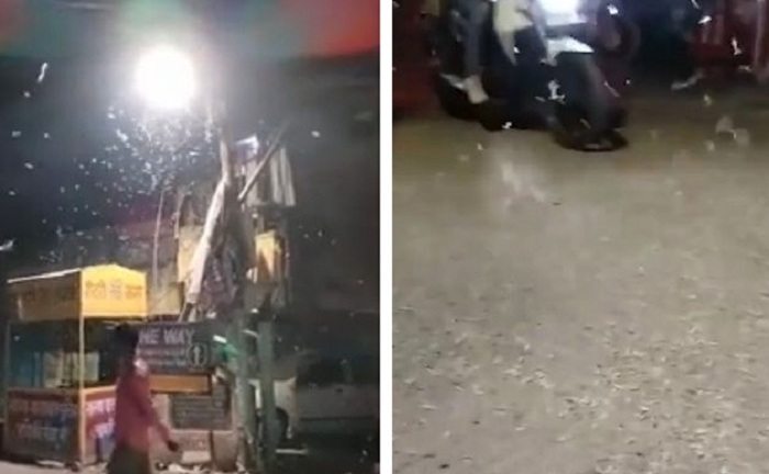 Ấn Độ: Người dân hoảng sợ chứng kiến hàng nghìn sinh vật lạ từ trên trời rơi xuống