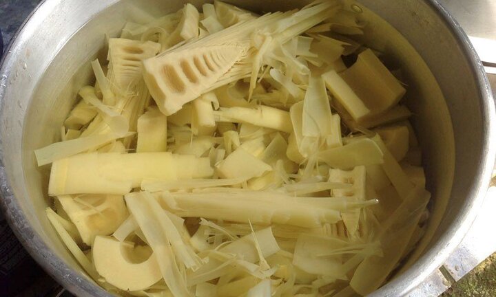 Người phụ nữ hôn mê, co giật toàn thân sau khi uống nước măng chua