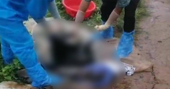 Bạc Liêu: Phát hiện thi thể nam giới đang phân hủy ở khu vực rừng phòng hộ