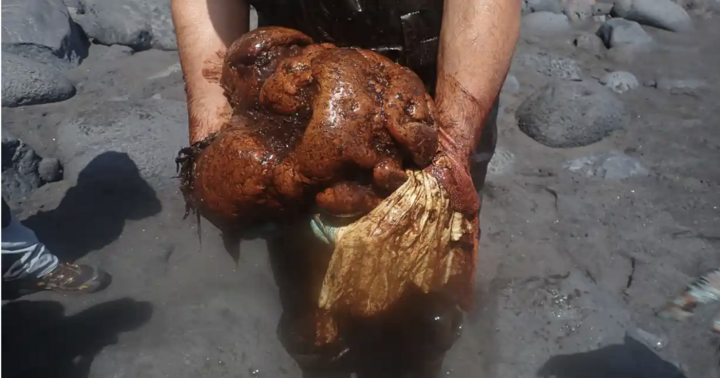 Người đàn ông phát hiện “vàng nổi” trị giá gần 13 tỷ đồng trong xác cá nhà táng