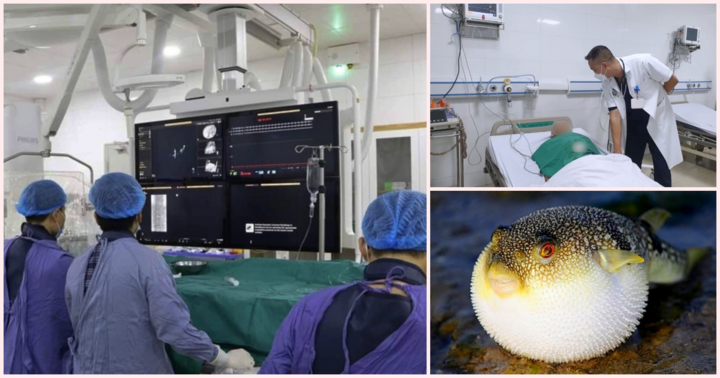 Tin tức đời sống mới nhất ngày 22/8: Cứu cụ ông 91 tuổi bị chèn ép tim cấp