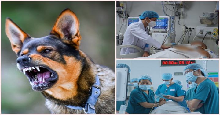 Tin tức đời sống mới nhất ngày 30/8: Bé 8 tuổi tử vong sau gần 4 tháng bị chó cắn