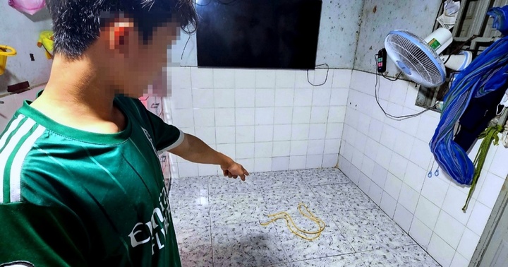 Bắt khẩn cấp người đàn ông hành hạ vợ dã man vì ghen tuông