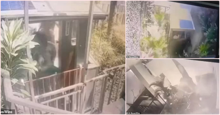 Kinh hoàng thang máy ở khu nghỉ dưỡng rơi tự do 100m, toàn bộ người bên trong tử vong