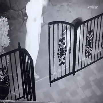 Clip: Tưởng sợi dây rơi trên sân, người phụ nữ chạy vội khi phát hiện sự thật