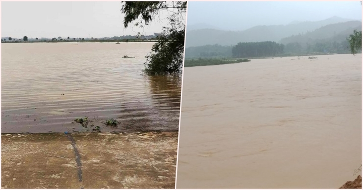 Hà Tĩnh: Không may sảy chân xuống ruộng, học sinh lớp 3 đuối nước thương tâm