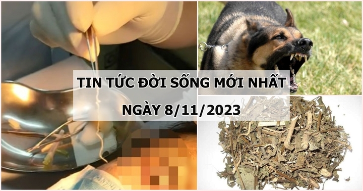 Tin tức đời sống mới nhất ngày 8/11: Hoại tử toàn thân sau khi tự ý uống thuốc nam chữa sỏi thận